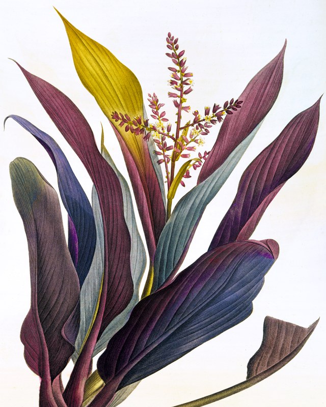 Alex Fischer, Untitled, 2017-04-01